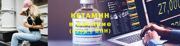 сатива Беслан