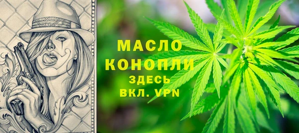 спиды Бикин