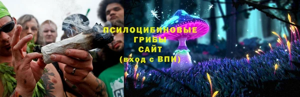 дурь Новодвинск