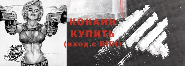 дурь Новодвинск