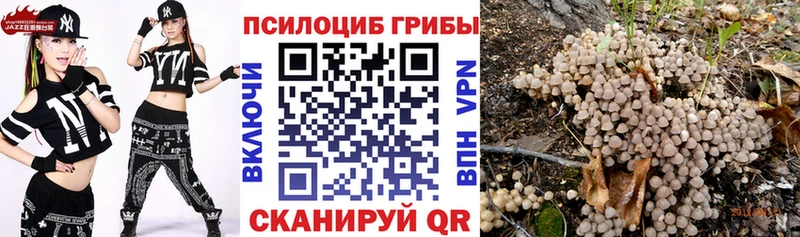 купить   Павлово  OMG как войти  Галлюциногенные грибы ЛСД 