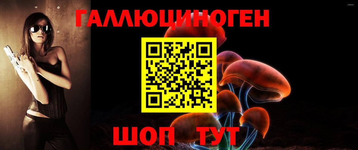 Павлово  Псилоцибиновые грибы Cubensis  Вход с VPN  дарнет шоп  Псилоцибиновые грибы Psilocybine cubensis 